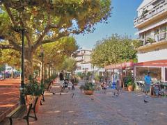183 D36 LE LAVANDOU_000048